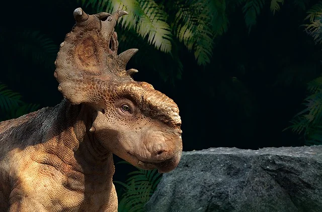 10 interesting facts about Triceratops