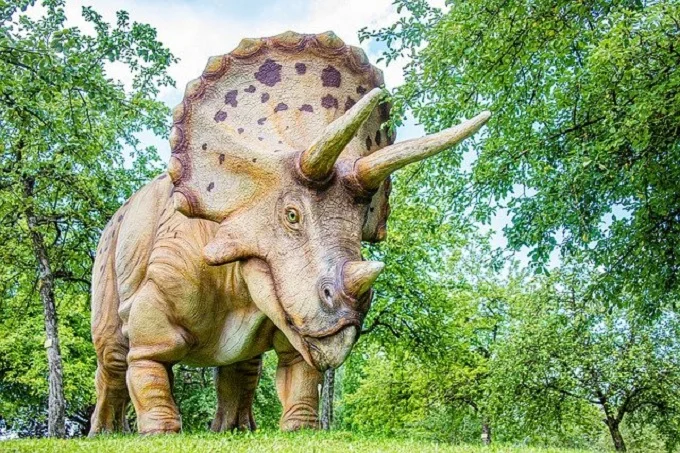 10 interesting facts about Triceratops