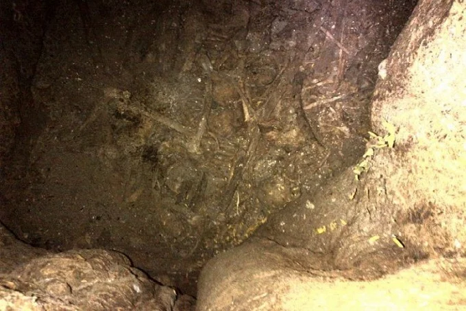 People buried in the leper tree in Malawi