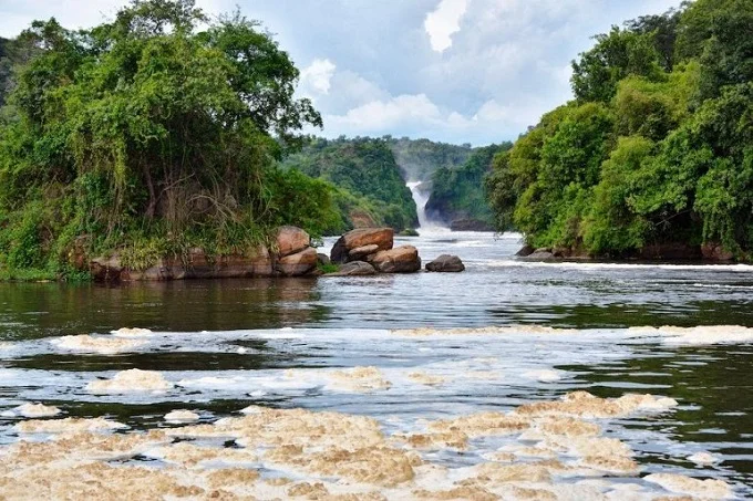 Murchison Falls formed where the Nile cut its way through hard rock