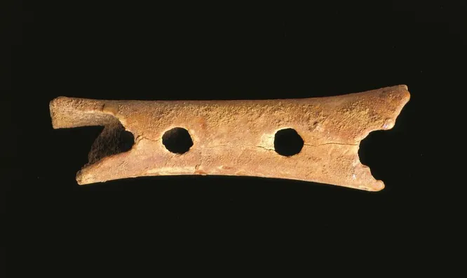 "Flute" from Divye Babe - possibly the oldest musical instrument