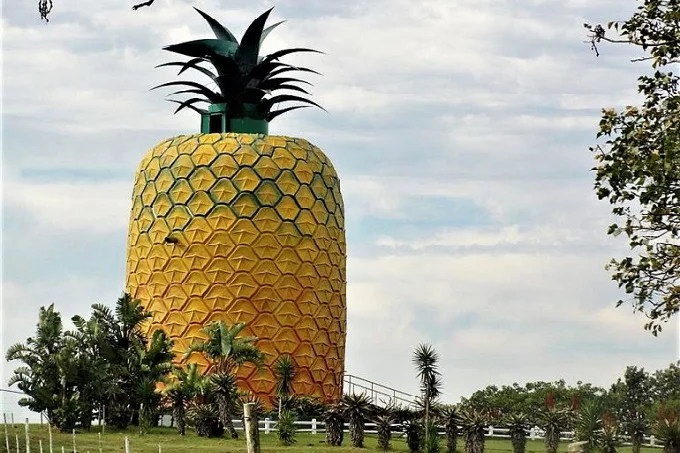 The giant pineapple house in South Africa