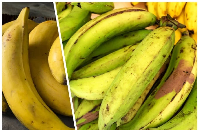 For the heart and digestion: five health benefits of plantain