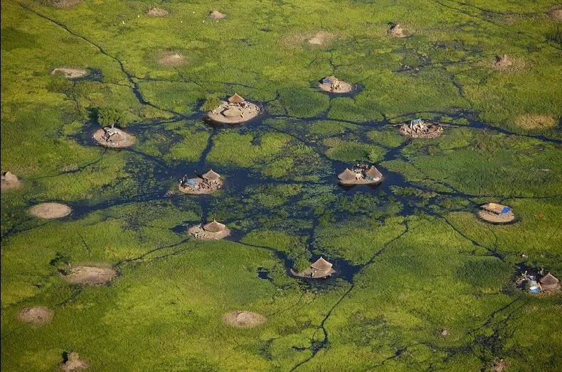 Sudd swamp in South Sudan