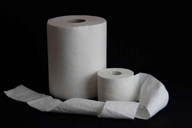 History of the invention of toilet paper