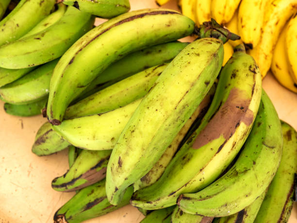 For the  heart and digestion: five health benefits of plantain