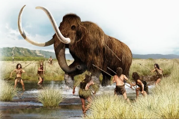 If mammoths from Wrangel Island managed to avoid degeneration and adapt to the new climate, then, most likely, people would exterminate them.