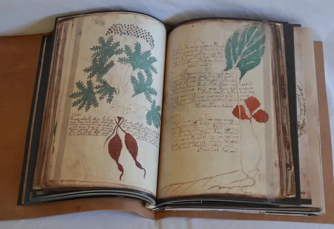 “Voynich Manuscript”: mysterious book that cannot be deciphered