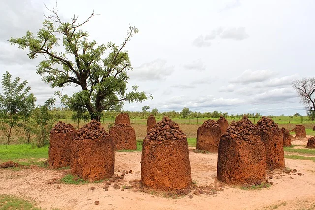 Wassu stone circle is located in the Niani district of Gambia