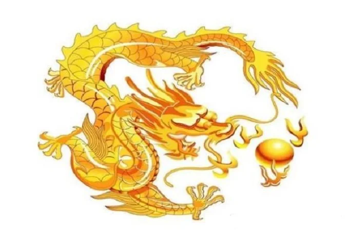 Fuzanglong Dragon