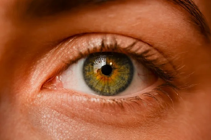 9 foods that damage your eyesight