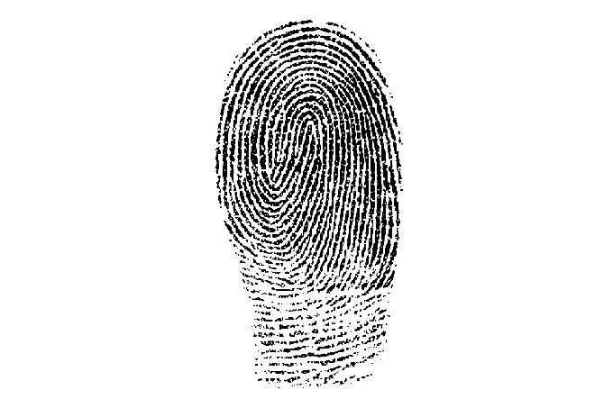 Why do we need fingerprints? More wonders scientists can’t explain