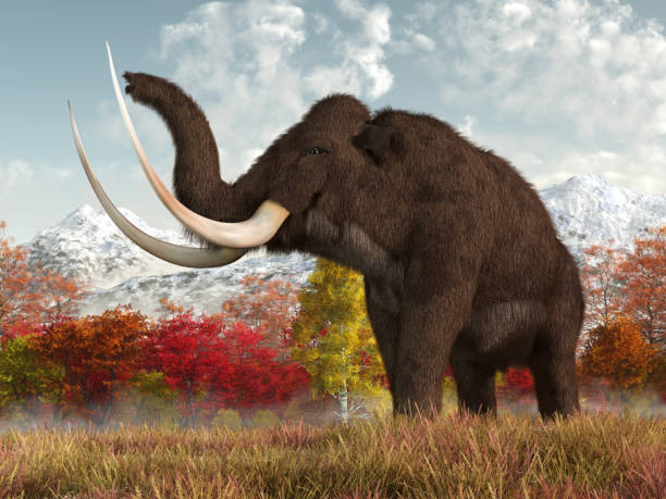 Is it possible to resurrect extinct animals?