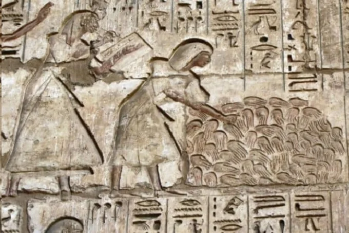 The pyramids have various artwork on its walls, all of which tell a story.