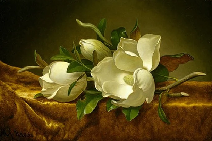 Magnolias on gold velvet