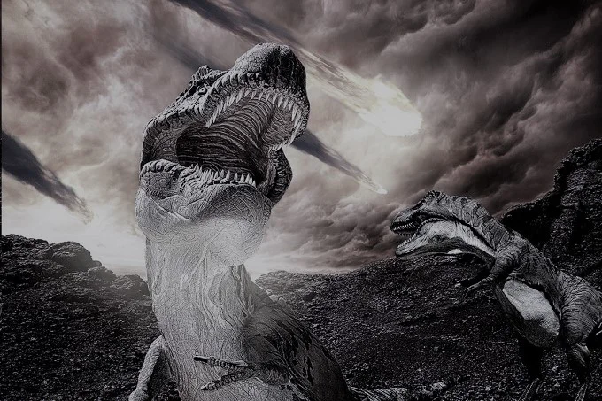 Where did the asteroid that killed the dinosaurs come from?