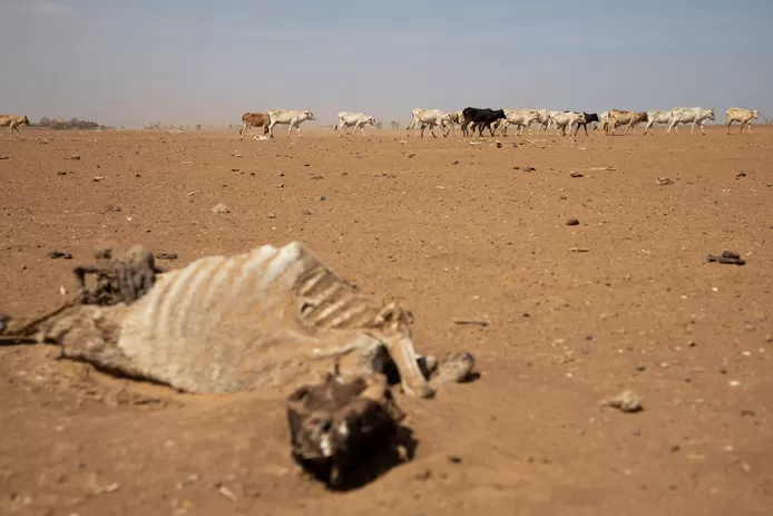 drought in Horn of Africa