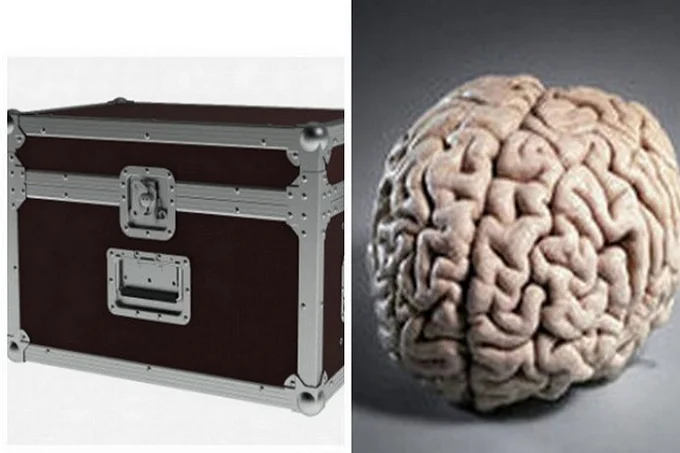 Kennedy's brain was placed in a special container and taken by Robert Kennedy's personal secretary, Angela Novello