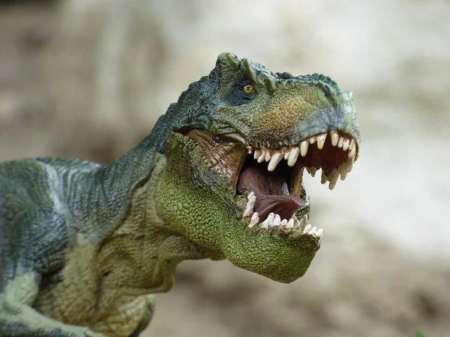 Cough and runny nose: study showed that dinosaurs also had cold