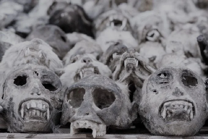 The skulls of Zombies