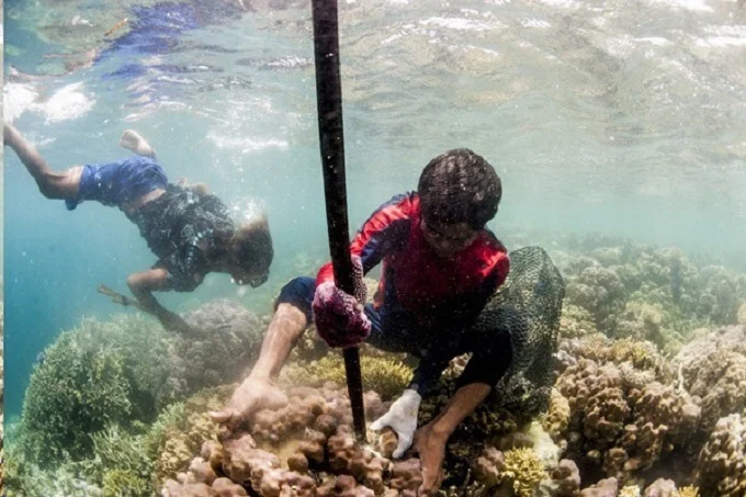 Bajau tribe can stay up to 10 minutes under the water