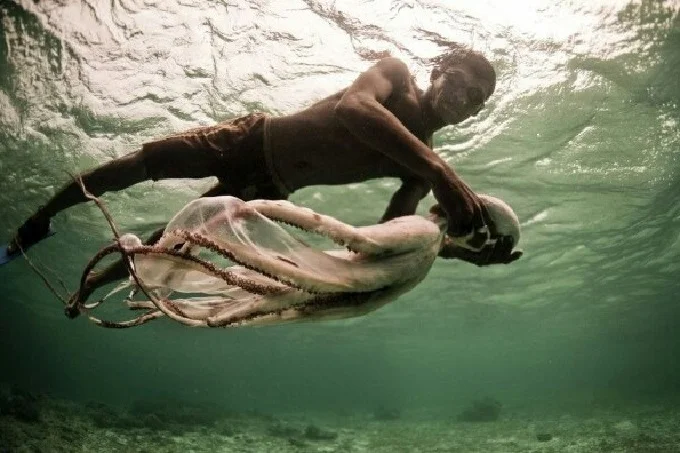The mysterious Bajau tribe of Indonesians: “People are fish”
