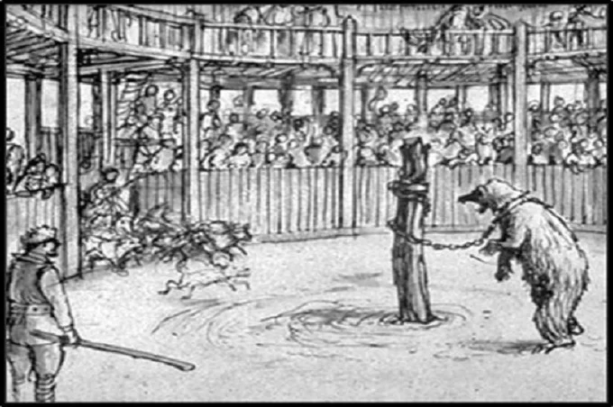 Medieval entertainment that shows how crazy that time was