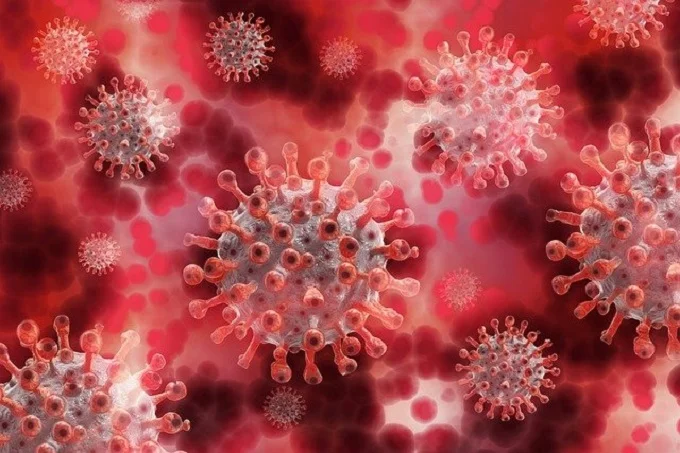 6 reasons why viruses are not as bad as they are presented