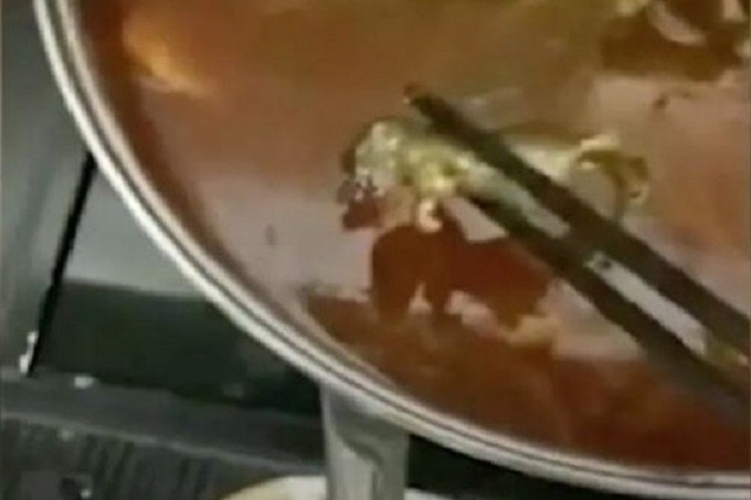 Pregnant Chinese finds dead rat in soup, restaurant offers for abortion