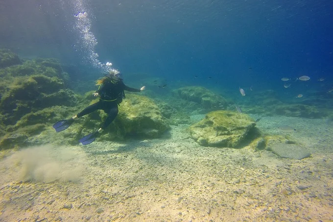 An ocean diver