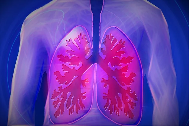 Discover these foods that detoxify the lungs