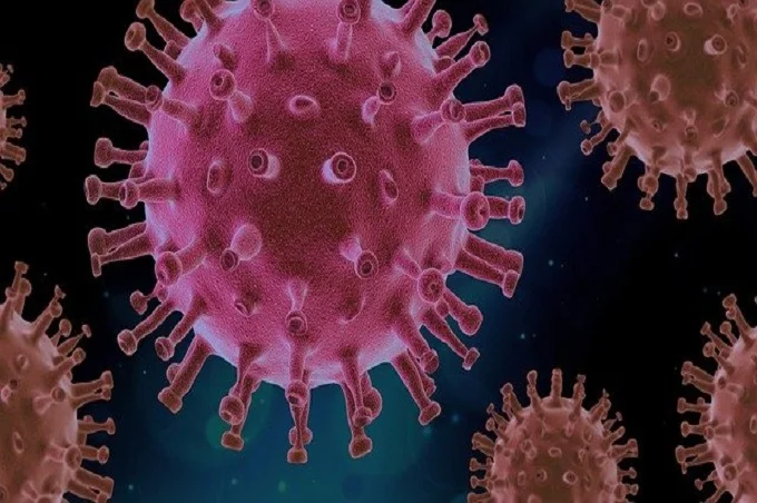 6 reasons why viruses are not as bad as they are presented