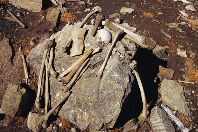 Lake of skeletons: Scientists have unraveled the mystery of the Roopkund lake, over which they fought for many years