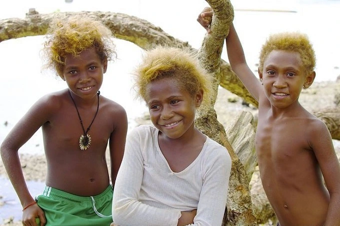 10% of Melanesians are blond