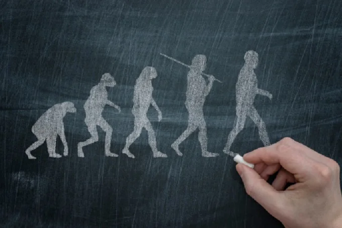 Human evolution: 7 interesting theories about why our ancestors evolved into modern humans