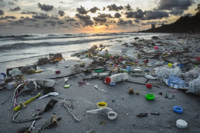 How does plastic pollution affect the environment