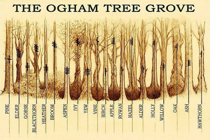 What is the uniqueness of the Ogham alphabet?