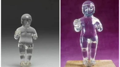 “Crystal astronaut” – an artifact that does not fit into the official story