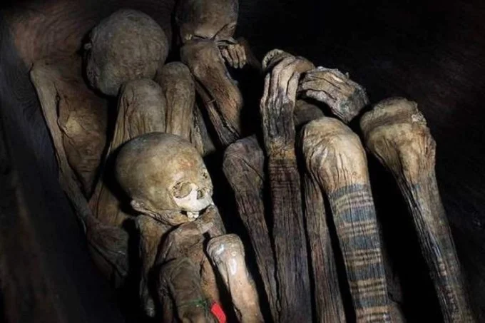 Looting of caves with mummies and the accompanying curse