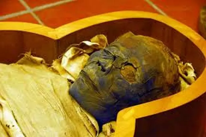 Some experts are sure that an Egyptian mummy was transported on the Titanic, which could well be the culprit of the crash.