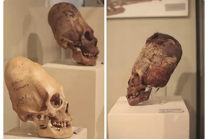 The found Paracas Skulls remain struck scientists in their weight and volume.