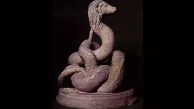 The Serpent Gods