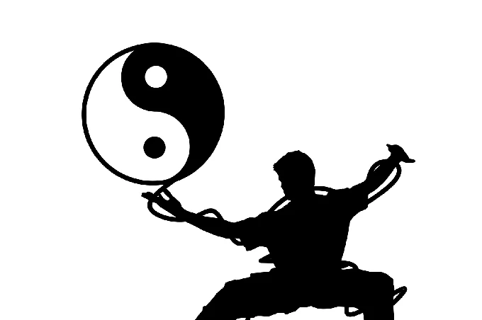 The fundamental concepts of Chinese philosophy, yin and yang
