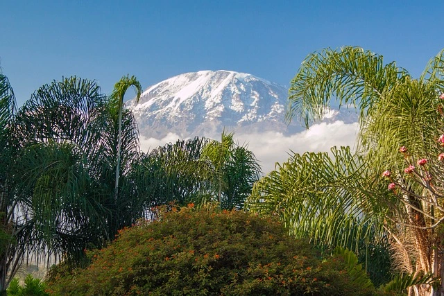 Dar es Salam, Tanzanie – 5 580 000 habitants