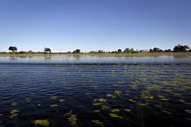 Okavango Delta Botswana