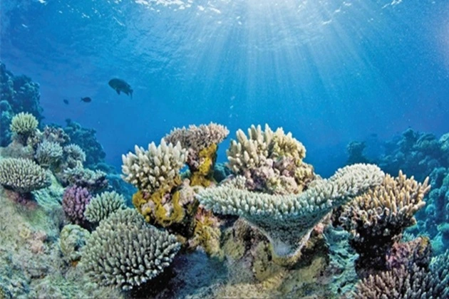 A land of coral reefs, deserts, and gushing springs