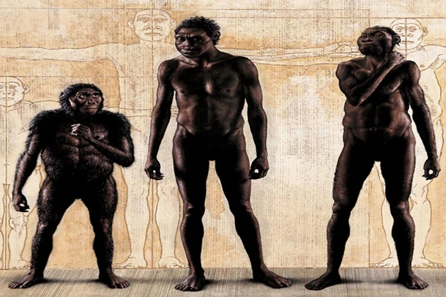 Representatives of the human race became the direct ancestors of Homo sapiens