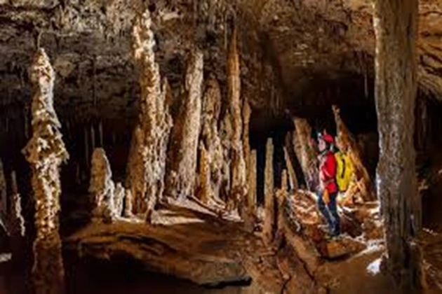 Stalagmite Forest