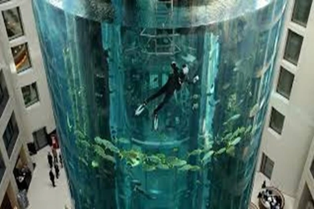 Inhabitants of DomAquaree.