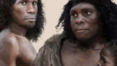 Neanderthals